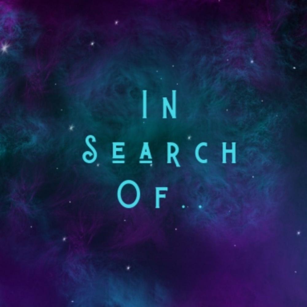 IN SEARCH OF… do not purchase